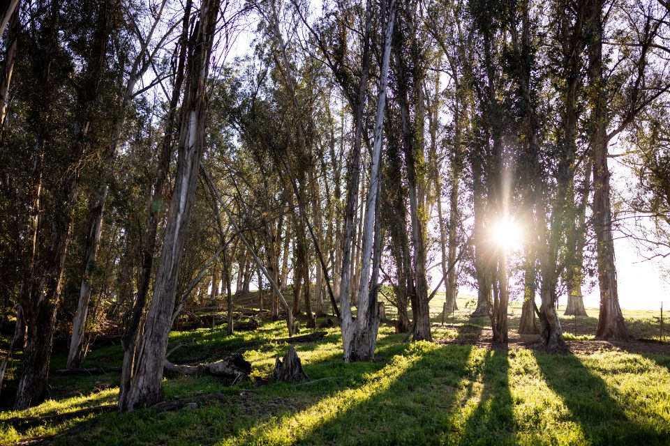 The planted gardens on the grounds